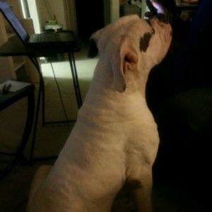 Meet your Posher, Divine